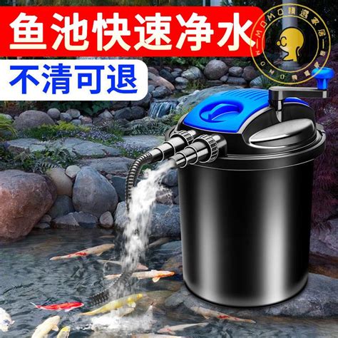 戶外水池|戶外池 錦鯉池 魚池過濾器 客製化設計 馬達選購技巧與搭配